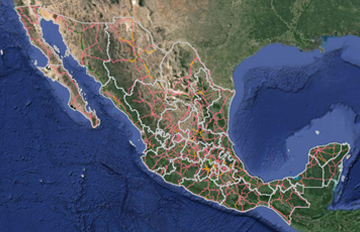 cotizar pizarron escolar